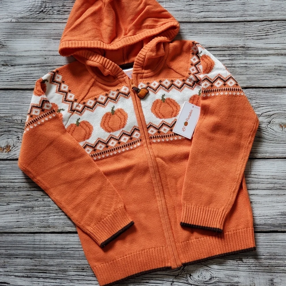 Gymboree Pumpkin Sweater Lil Pumpkin Fall Harvest